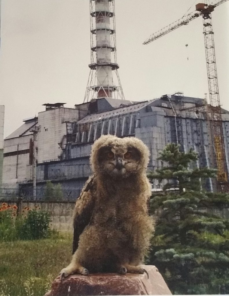chernobyl nuclear power plant, reactor #4