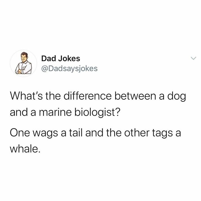 will turner low ponytail - Dad Jokes What's the difference between a dog and a marine biologist? One wags a tail and the other tags a whale.