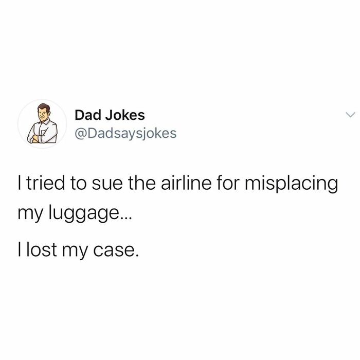 sun pun - Dad Jokes I tried to sue the airline for misplacing my luggage... I lost my case.