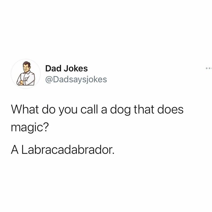 good dad joke - Dad Jokes What do you call a dog that does magic? A Labracadabrador.