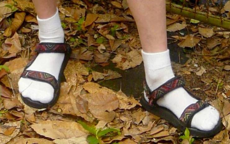 socks and sandals