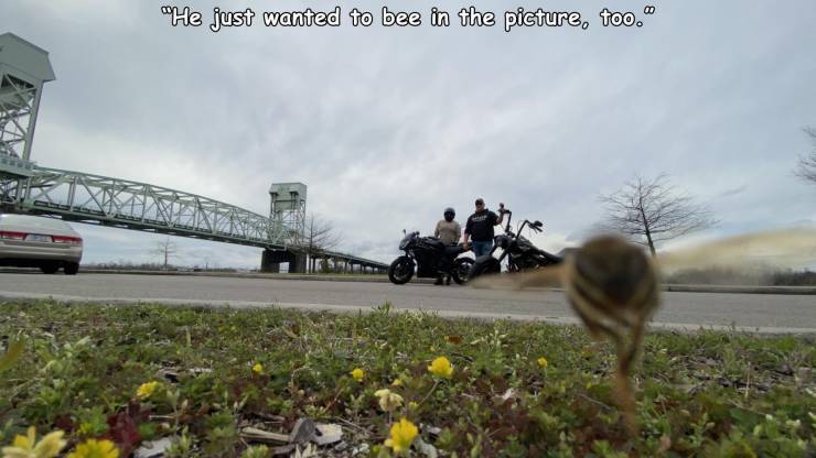 vehicle - He just wanted to bee in the picture, too."