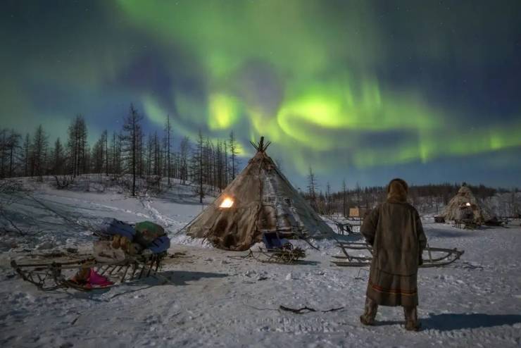 funny pictures - people camping in tent under northern lights