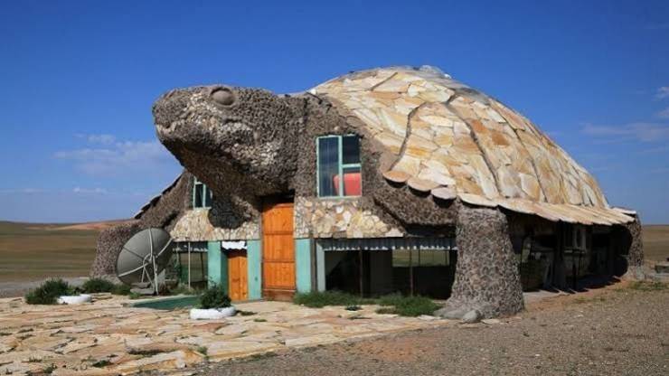 fun random pics - turtle house in gobi desert