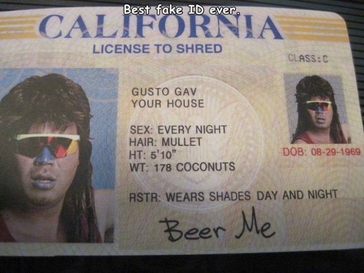 fun random pics - identity document - Best fake Id ever. California License To Shred ClassC Gusto Gav Your House Sex Every Night Hair Mullet Ht 5'10" Wt 178 Coconuts Dob 08291969 Rstr Wears Shades Day And Night Beer Me