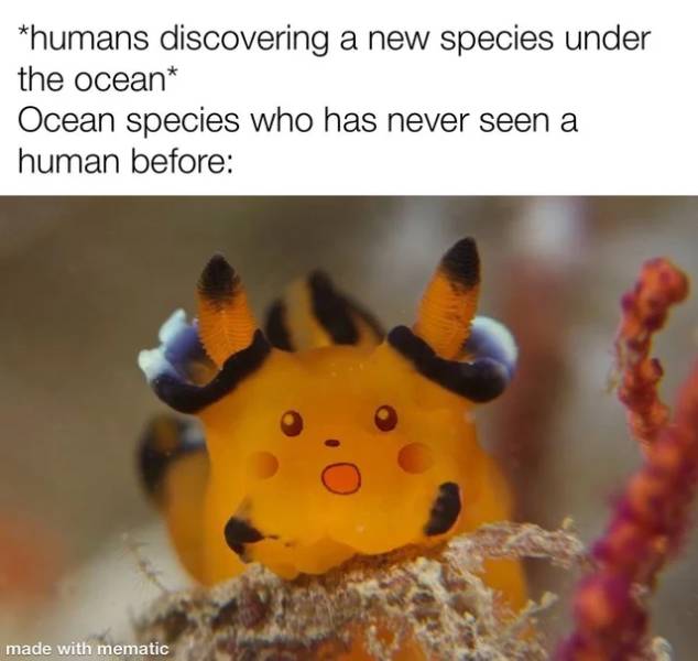 fauna - humans discovering a new species under the ocean Ocean species who has never seen a human before made with mematic