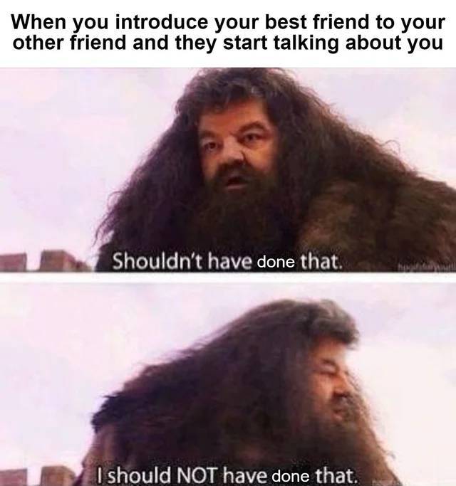 harry potter volleyball memes - When you introduce your best friend to your other friend and they start talking about you Shouldn't have done that. I should Not have done that.