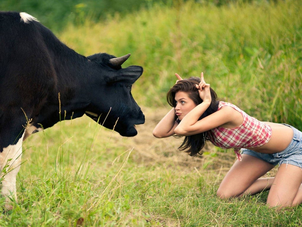 girl with a cow