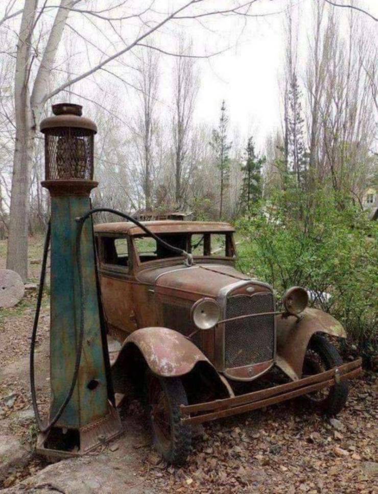 long abandoned cars