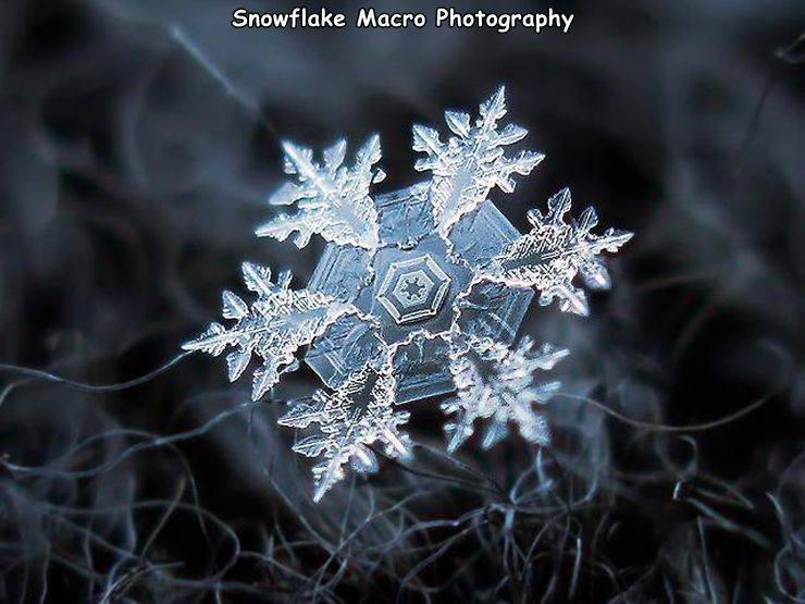 macro photography of snowflakes - Snowflake Macro Photography