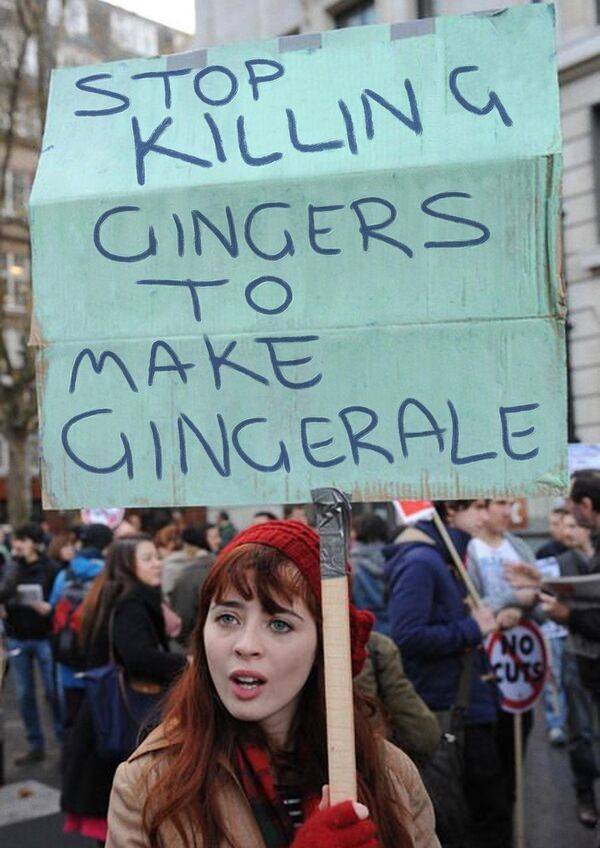 stop killing to make meme - Stop Killing Gingers Make Gingerale No Cuts