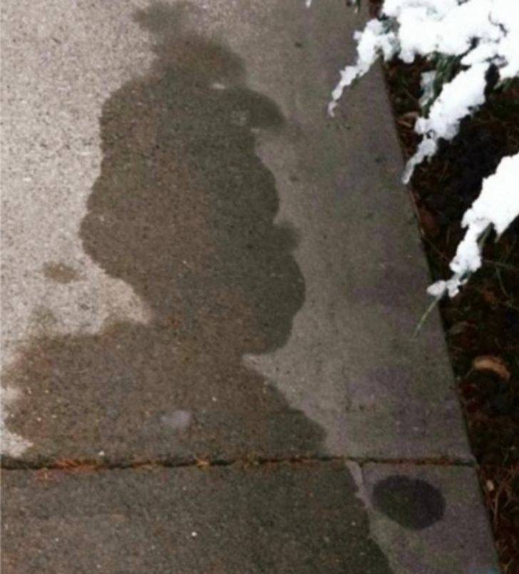 This isn’t a shadow, it’s melting snow that looks surprisingly like the Grinch