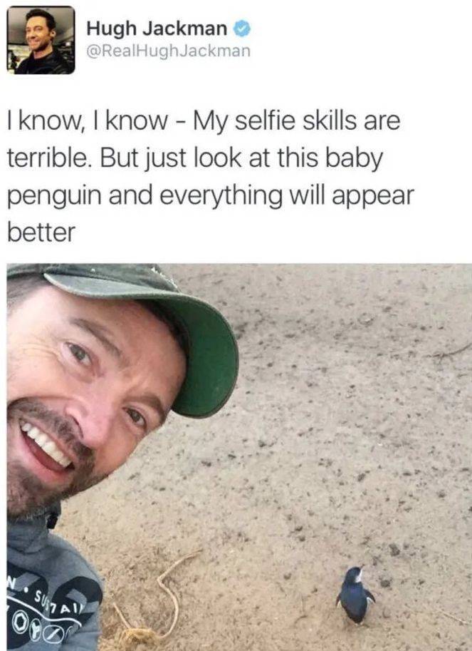 funny randoms and cool pics - hugh jackman and penguin - Hugh Jackman I know, I know My selfie skills are terrible. But just look at this baby penguin and everything will appear better Suzy Al