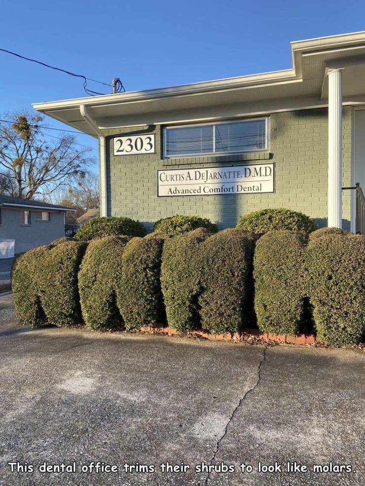 funny randoms and cool pics - residential area - 2303 Curtis A. Dejarnatte, D.M.D. Advanced Comfort Dental This dental office trims, their shrubs to look , molars.