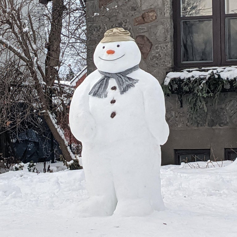 funny randoms and cool pics - snowman