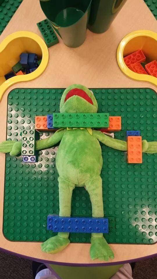 dissect kermit the frog - @ K.