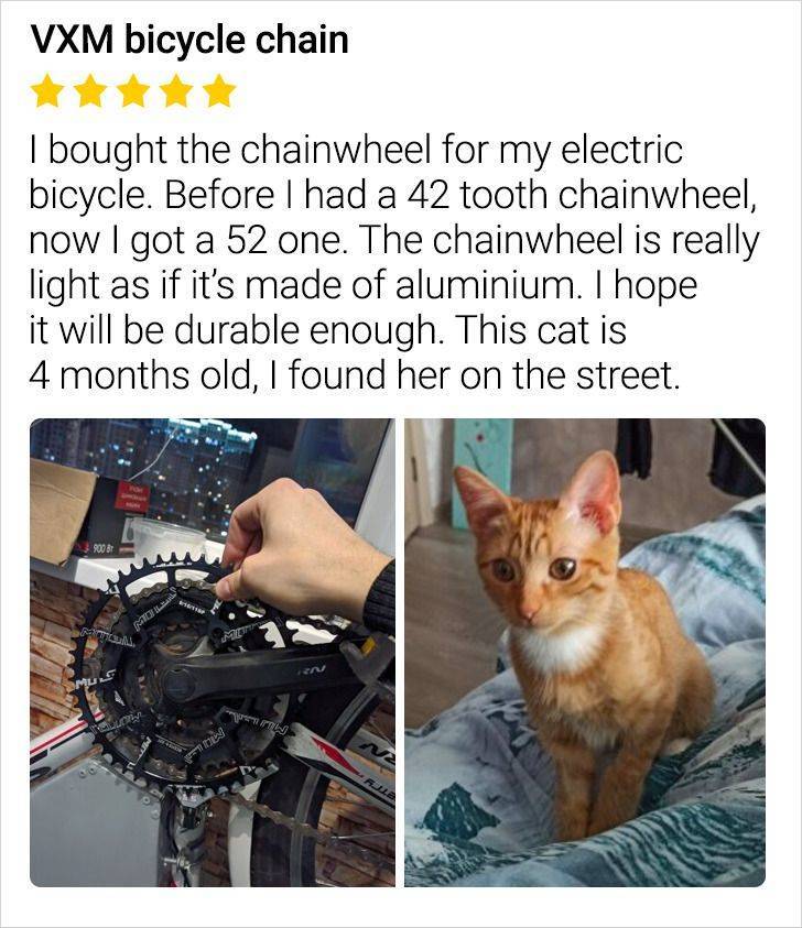 cat - Vxm bicycle chain I bought the chainwheel for my electric bicycle. Before I had a 42 tooth chainwheel, now I got a 52 one. The chainwheel is really light as if it's made of aluminium. I hope it will be durable enough. This cat is 4 months old, I fou