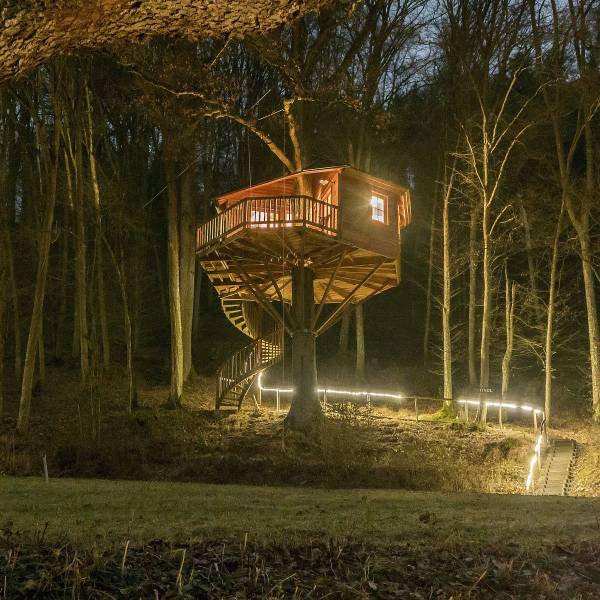 funny memes and pics - treehouse austria