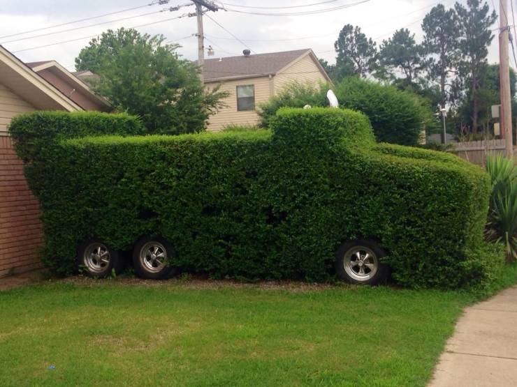 funny memes and pics - hedge