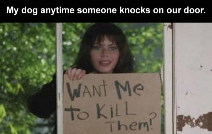 funny memes and pics - Fairuza Balk My dog anytime someone knocks on our door. Want Me to KiLL Them!
