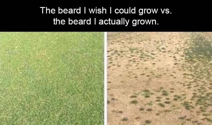 funny memes and pics - ksi beard memes - The beard I wish I could grow vs. the beard I actually grown.