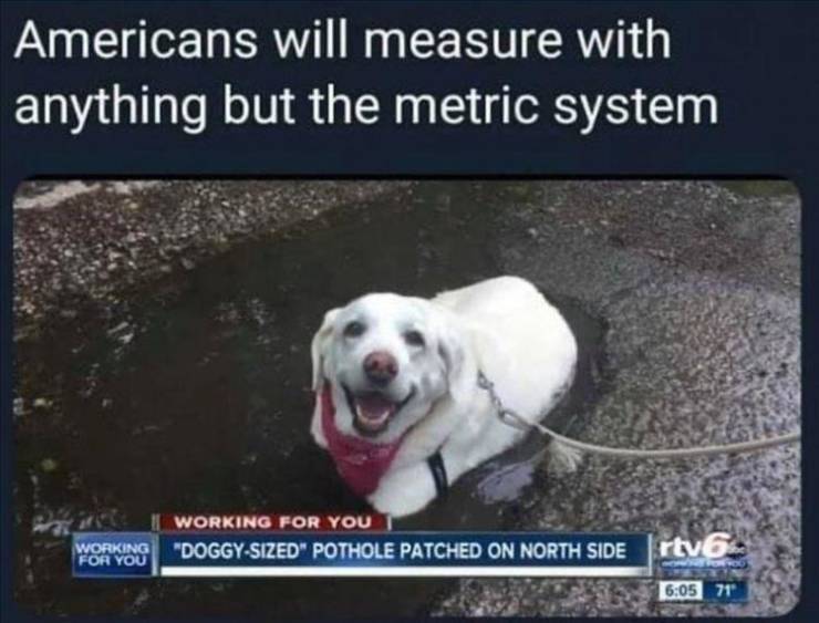 funny memes and pics - americans will measure with anything - Americans will measure with anything but the metric system Working For You Working For You "DoggySized" Pothole Patched On North Side rtv6 71