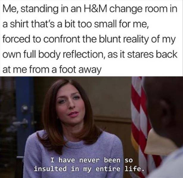 funny memes and pics - photo caption - Me, standing in an H&M change room in a shirt that's a bit too small for me, forced to confront the blunt reality of my own full body reflection, as it stares back at me from a foot away I have never been so insulted