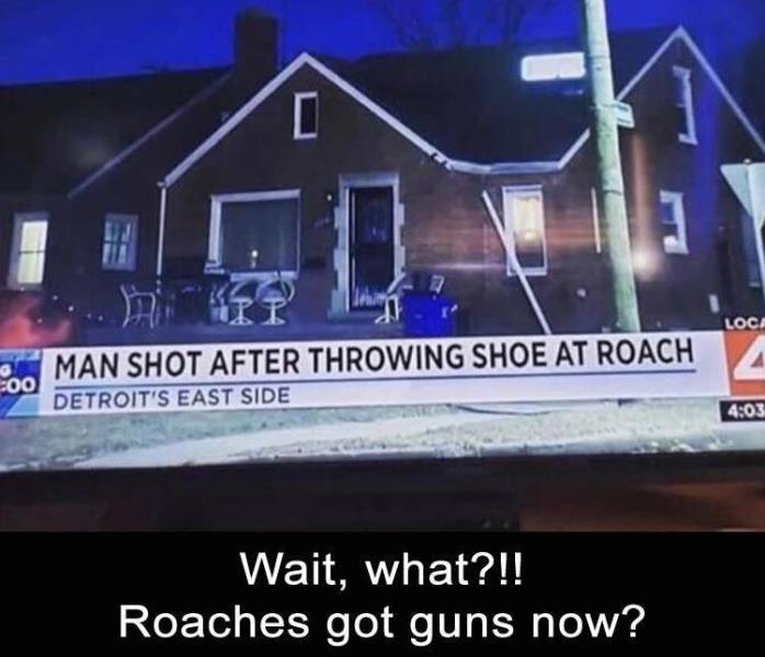 funny memes and pics - man shot after throwing shoe at roach - Loca Pi Man Shot After Throwing Shoe At Roach Detroit'S East Side 0 00 Wait, what?!! Roaches got guns now?