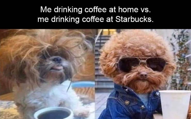 funny memes and pics - zoom meeting with audio - Me drinking coffee at home vs. me drinking coffee at Starbucks.