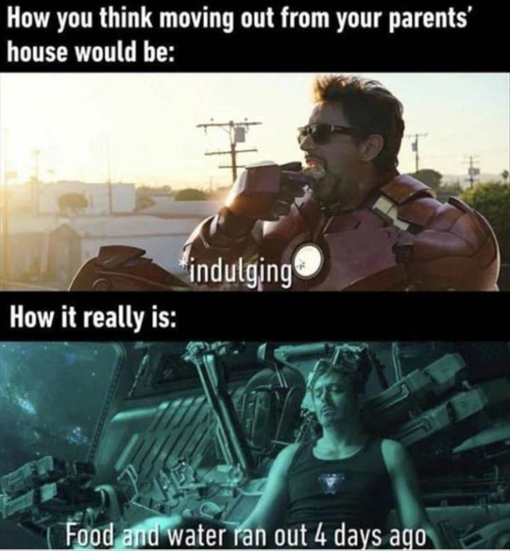 funny memes and pics - avengers endgame memes - How you think moving out from your parents' house would be 'indulging How it really is Food and water ran out 4 days ago