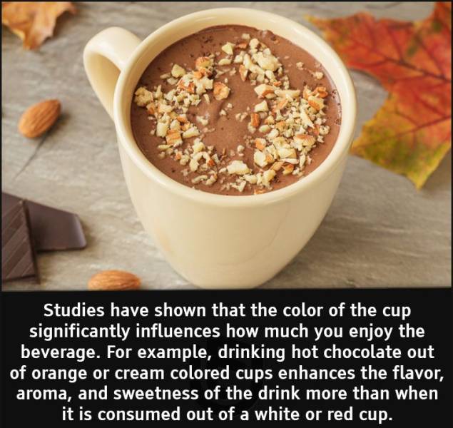 dish - Studies have shown that the color of the cup significantly influences how much you enjoy the beverage. For example, drinking hot chocolate out of orange or cream colored cups enhances the flavor, aroma, and sweetness of the drink more than when it 