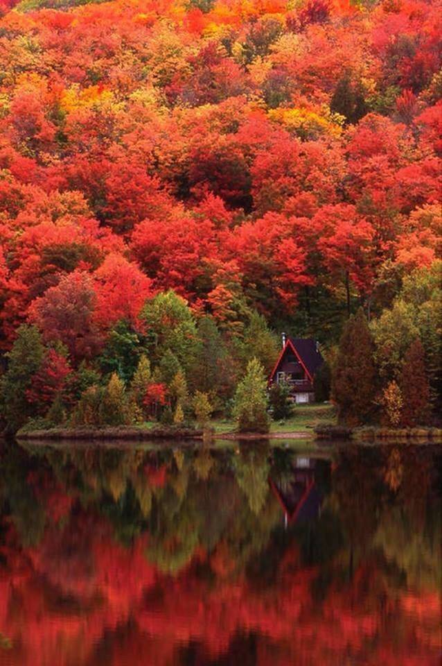 autumn lake quebec