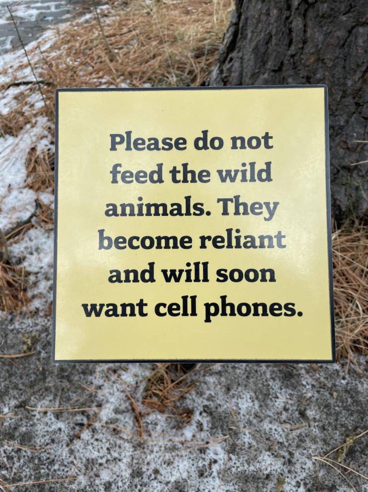 funny pics - tree - Please do not feed the wild animals. They become reliant and will soon want cell phones.