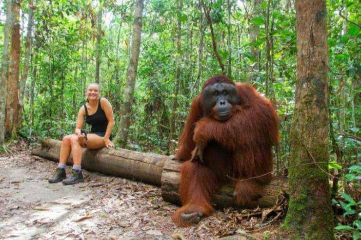 cool funny pics - woman hanging out with primate