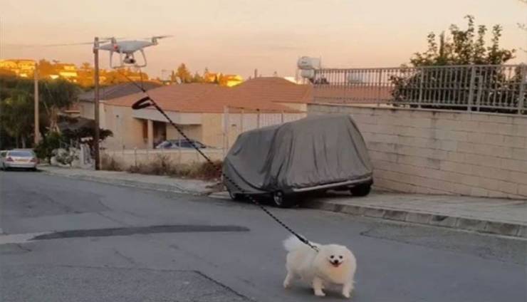 drone dog walker