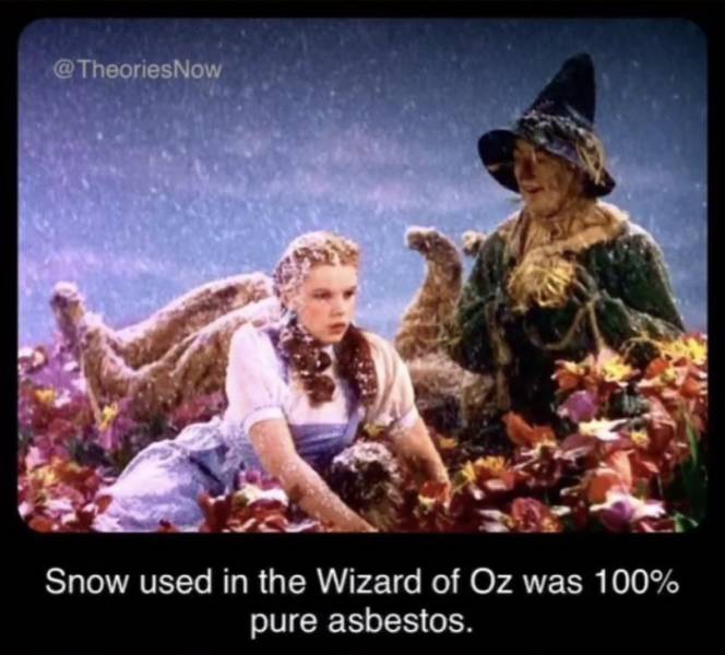 facts about wizard of oz - @ TheoriesNow Snow used in the Wizard of Oz was 100% pure asbestos.