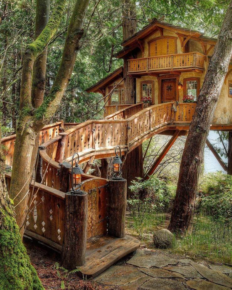 beautiful treehouse