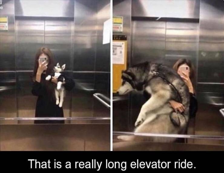nct memes 2020 - That is a really long elevator ride.