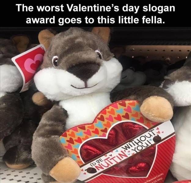 plush - Nuttin Wulun The worst Valentine's day slogan award goes to this little fella. I'D Be Wave Candy Oz