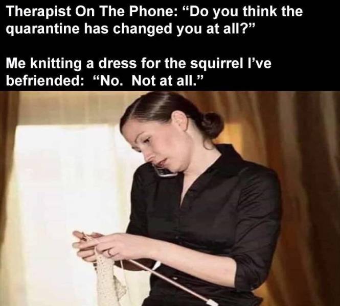 funny knitting meme 2020 - Therapist On The Phone "Do you think the quarantine has changed you at all?" Me knitting a dress for the squirrel I've befriended No. Not at all."