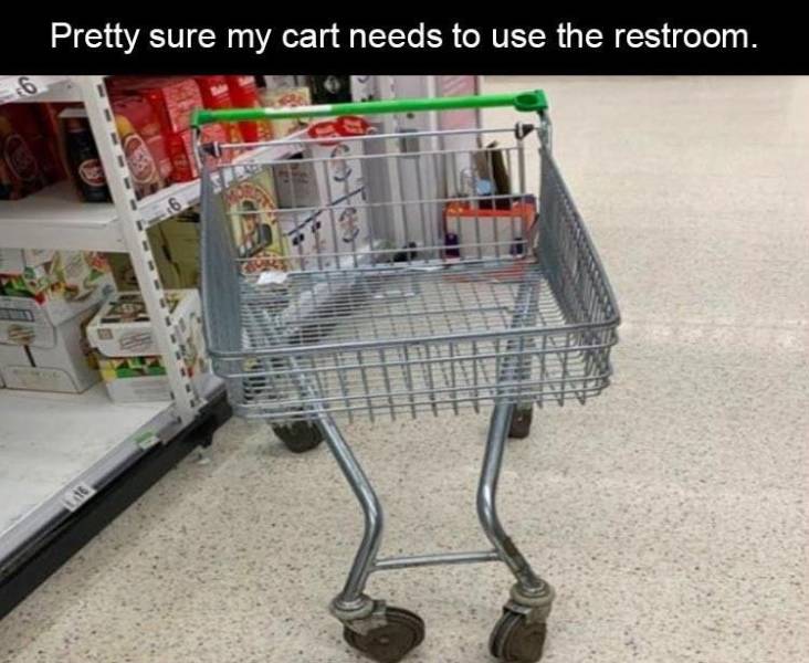 dank doodle memes v745 - Pretty sure my cart needs to use the restroom. 16