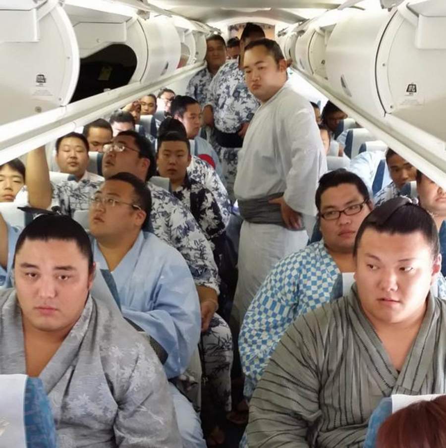 sumo wrestlers on a plane