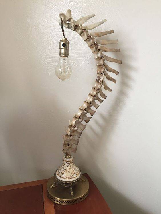 spine lamp