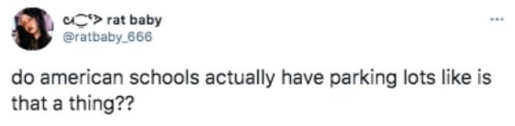 paper - Us > rat baby do american schools actually have parking lots is that a thing??