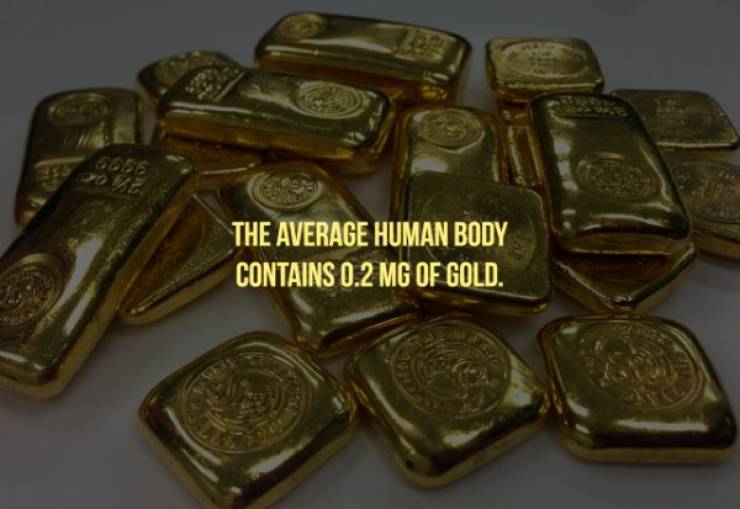 most expensive metals - The Average Human Body Contains 0.2 Mg Of Gold.