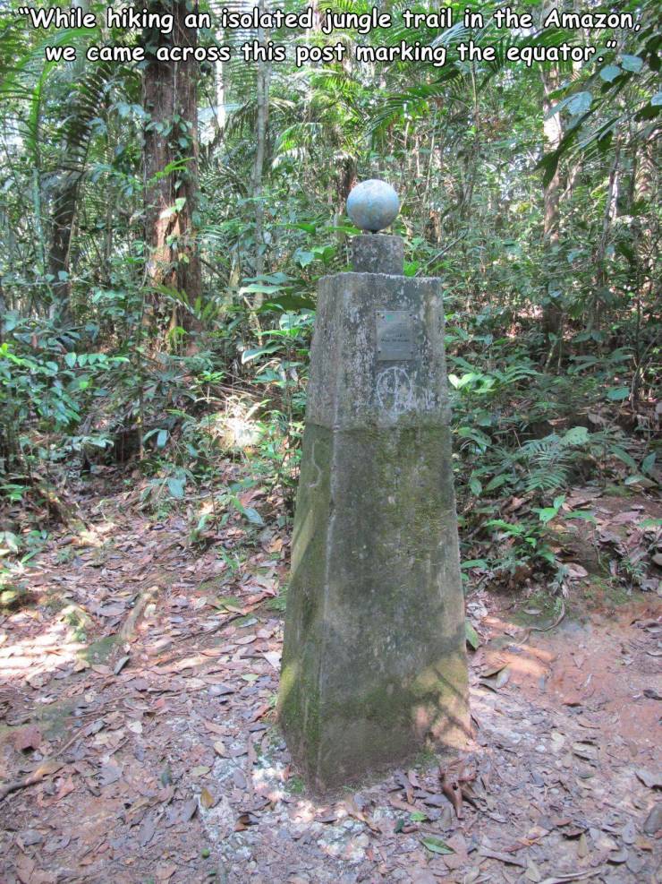 nature reserve - While hiking an isolated jungle trail in the Amazon we came across this post marking the equator".