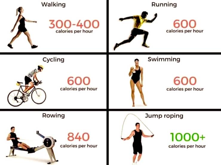 aerobic exercise calories burned per hour - Walking Running 300400 600 calories per hour calories per hour Cycling Swimming 600 calories per hour 600 calories per hour Rowing Jump roping 840 calories per hour 1000 calories per hour