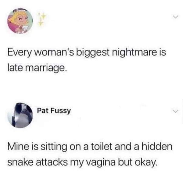would you slap your sibling meme - Every woman's biggest nightmare is late marriage. Pat Fussy Mine is sitting on a toilet and a hidden snake attacks my vagina but okay.