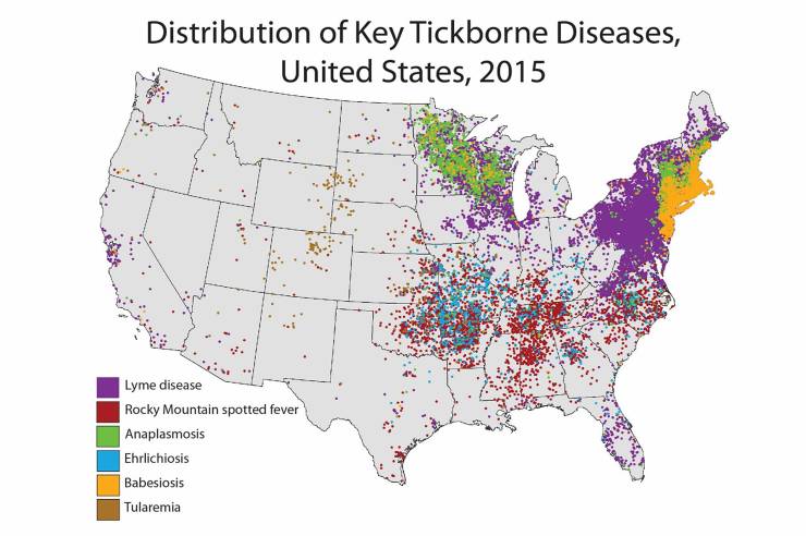 lyme disease distribution - Distribution of Key Tickborne Diseases, United States, 2015 Lyme disease Rocky Mountain spotted fever Anaplasmosis Ehrlichiosis Babesiosis Tularemia