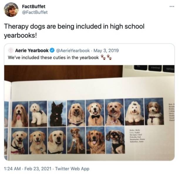 FactBuffet Therapy dogs are being included in high school yearbooks! Aerie Yearbook AerieYearbook We've included these cuties in the yearbook control . . Twitter Web App